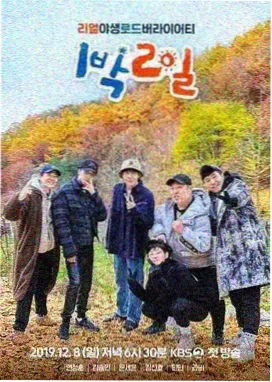 乐队的夏天 992kp快乐看片